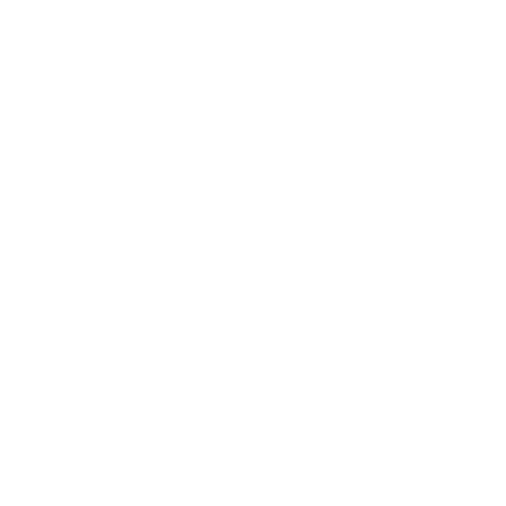 Iron-Dog